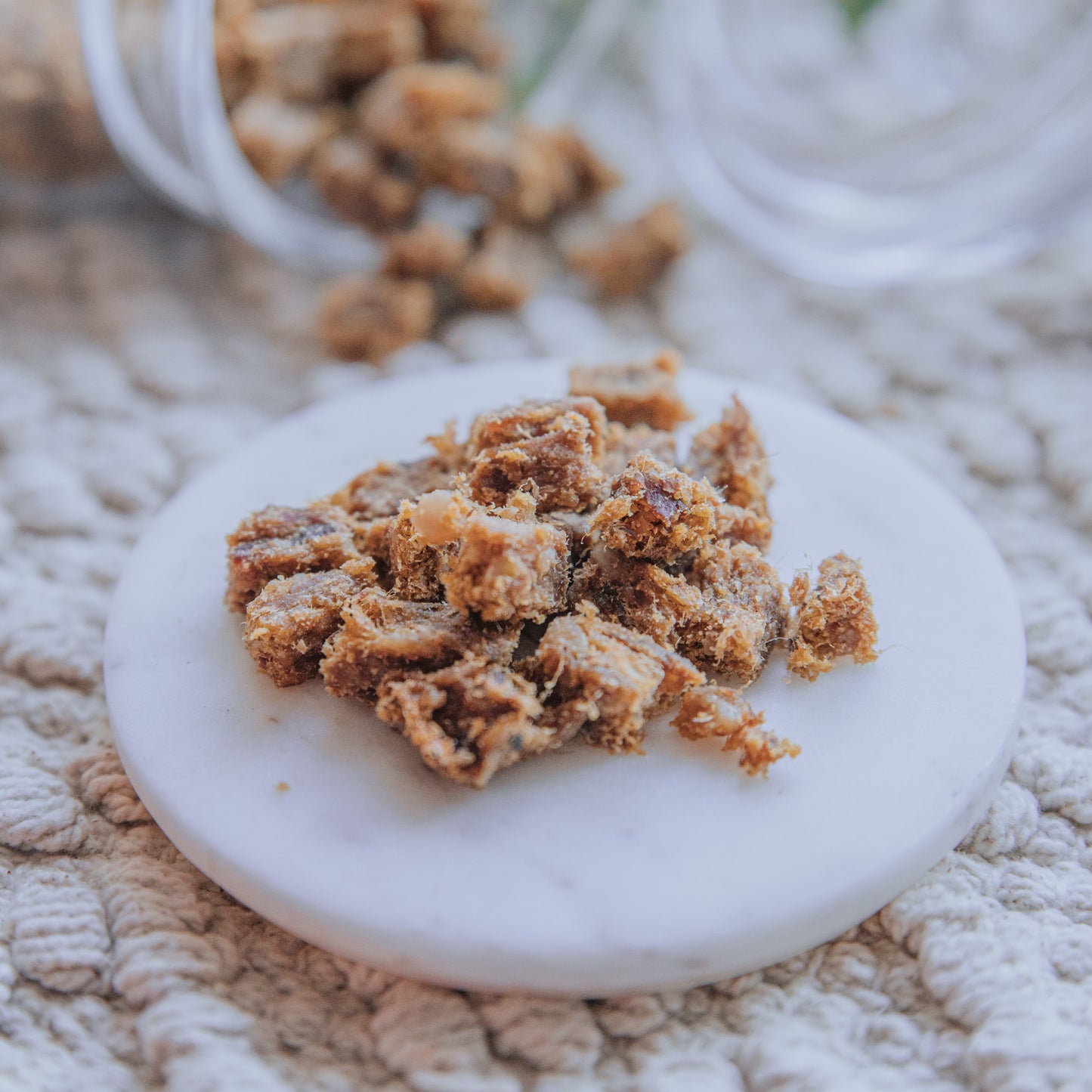 Boar Training Bites (25g | 100g)