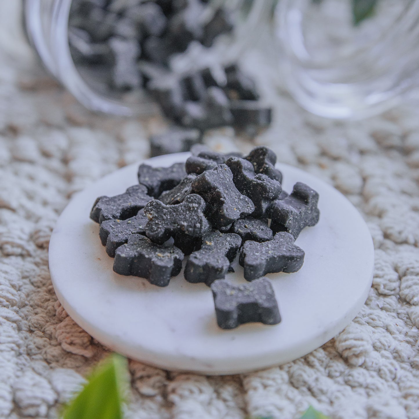 Venison Bones (100g)