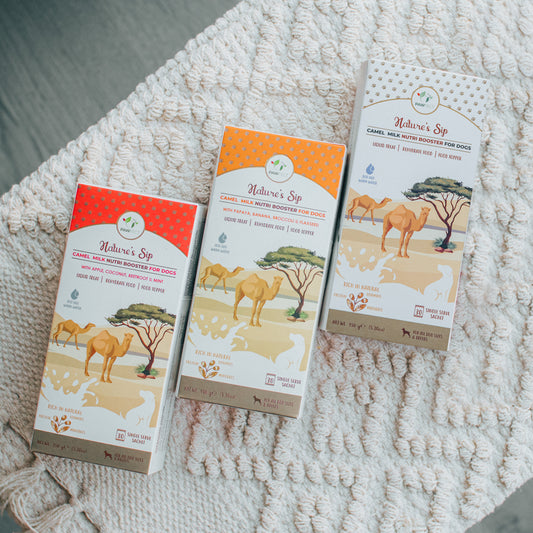 Camel Milk Powders (Various Flavours)