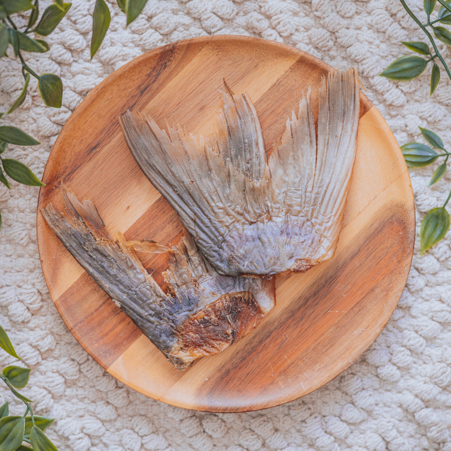Pangasius Fish Tail