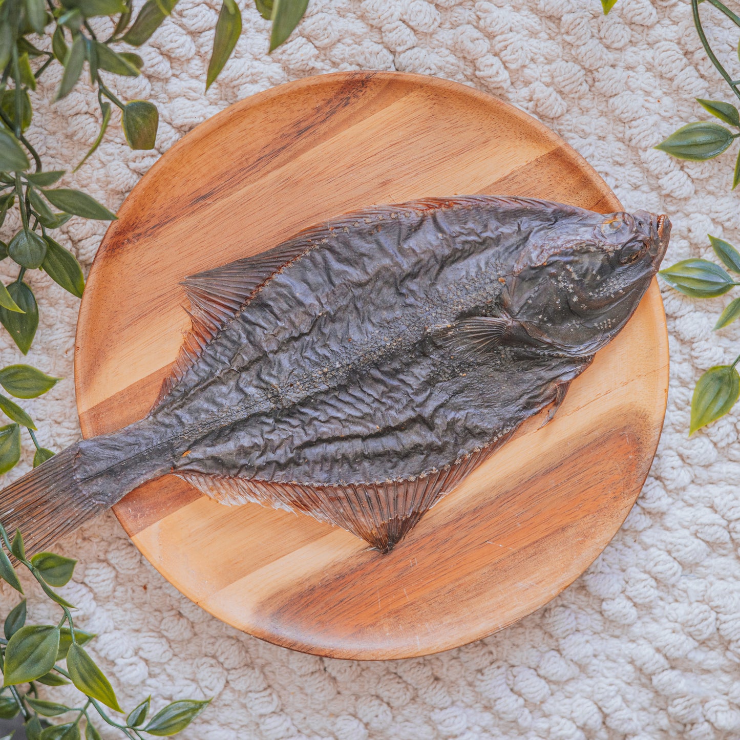 Flounder
