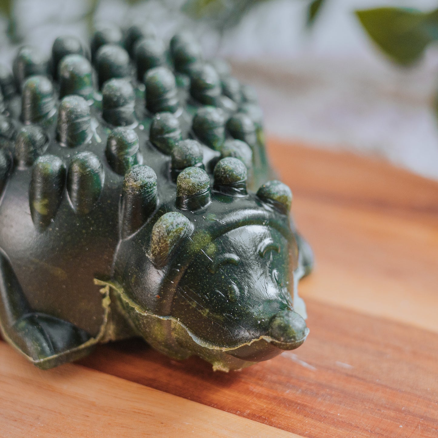 Large Hedgehog | Veggie
