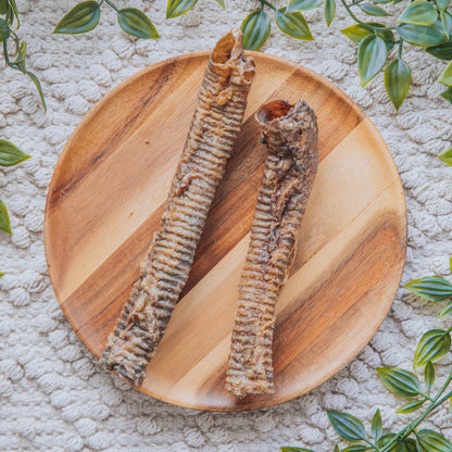 Lamb Trachea