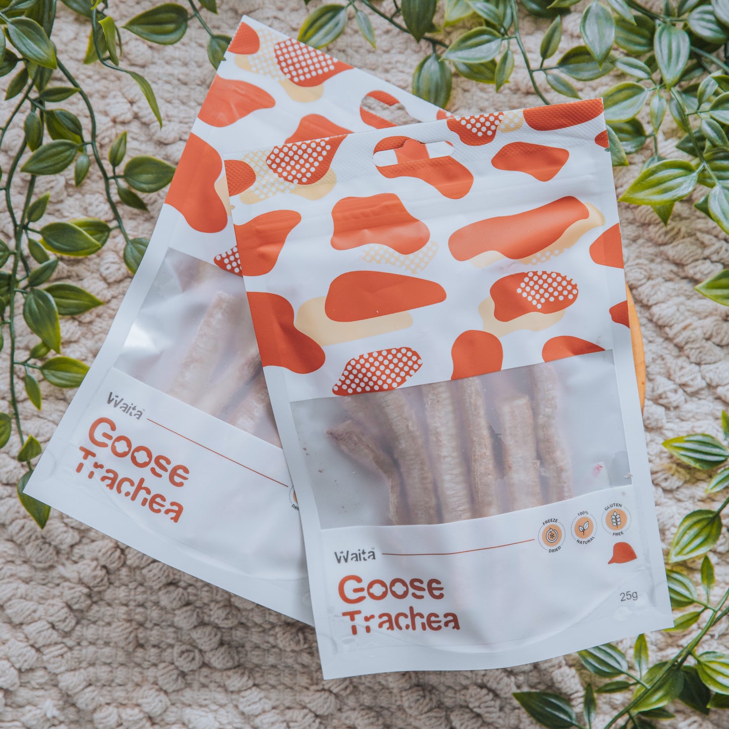 Freeze Dried Goose Tracheas | Waita (25g)