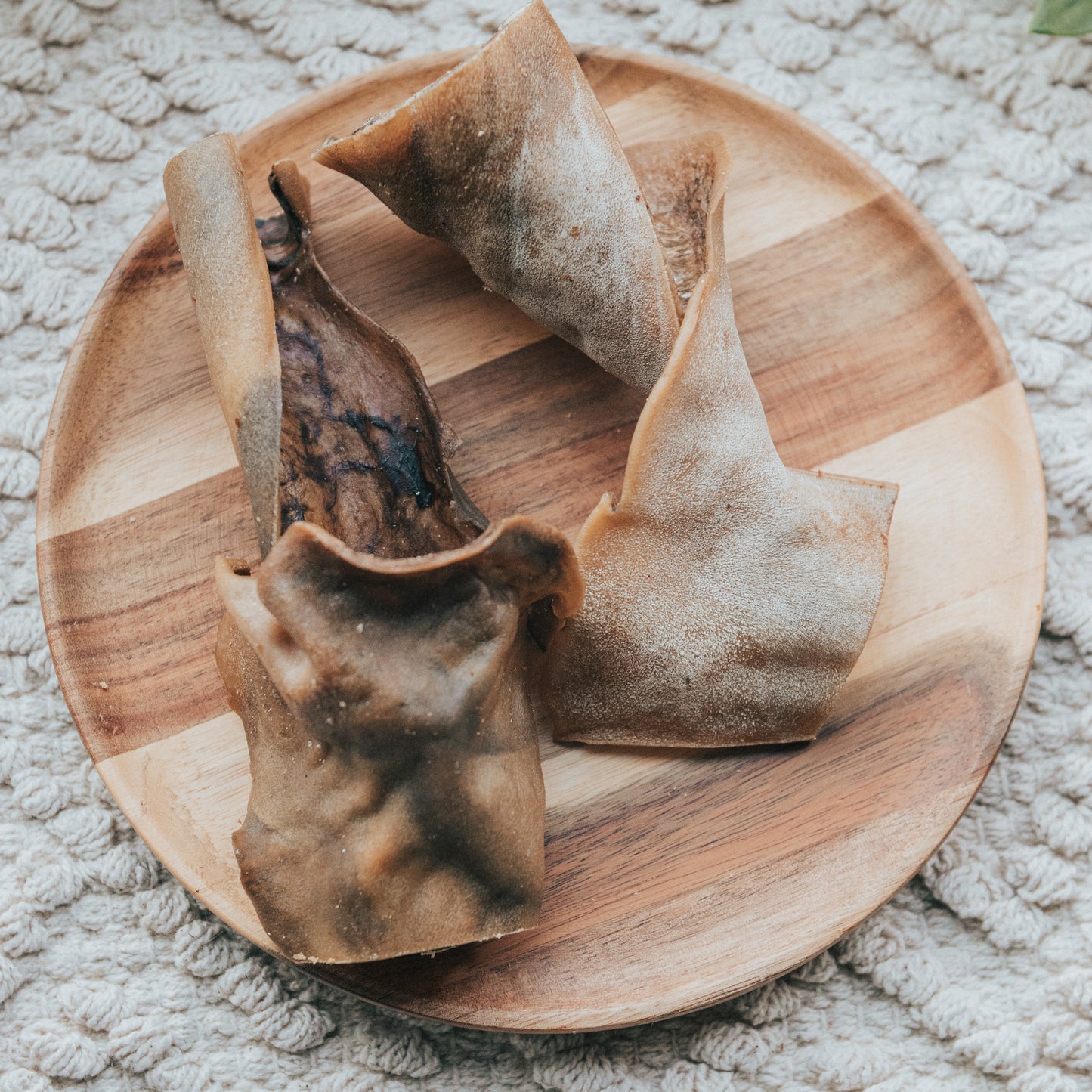 'Got The Hump?' Camel Skin Slice