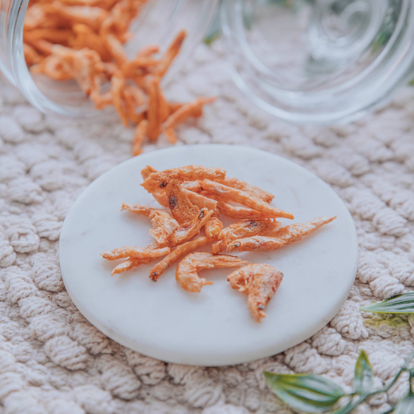 Freeze Dried Whole Krill | Waita (25g | 50g)