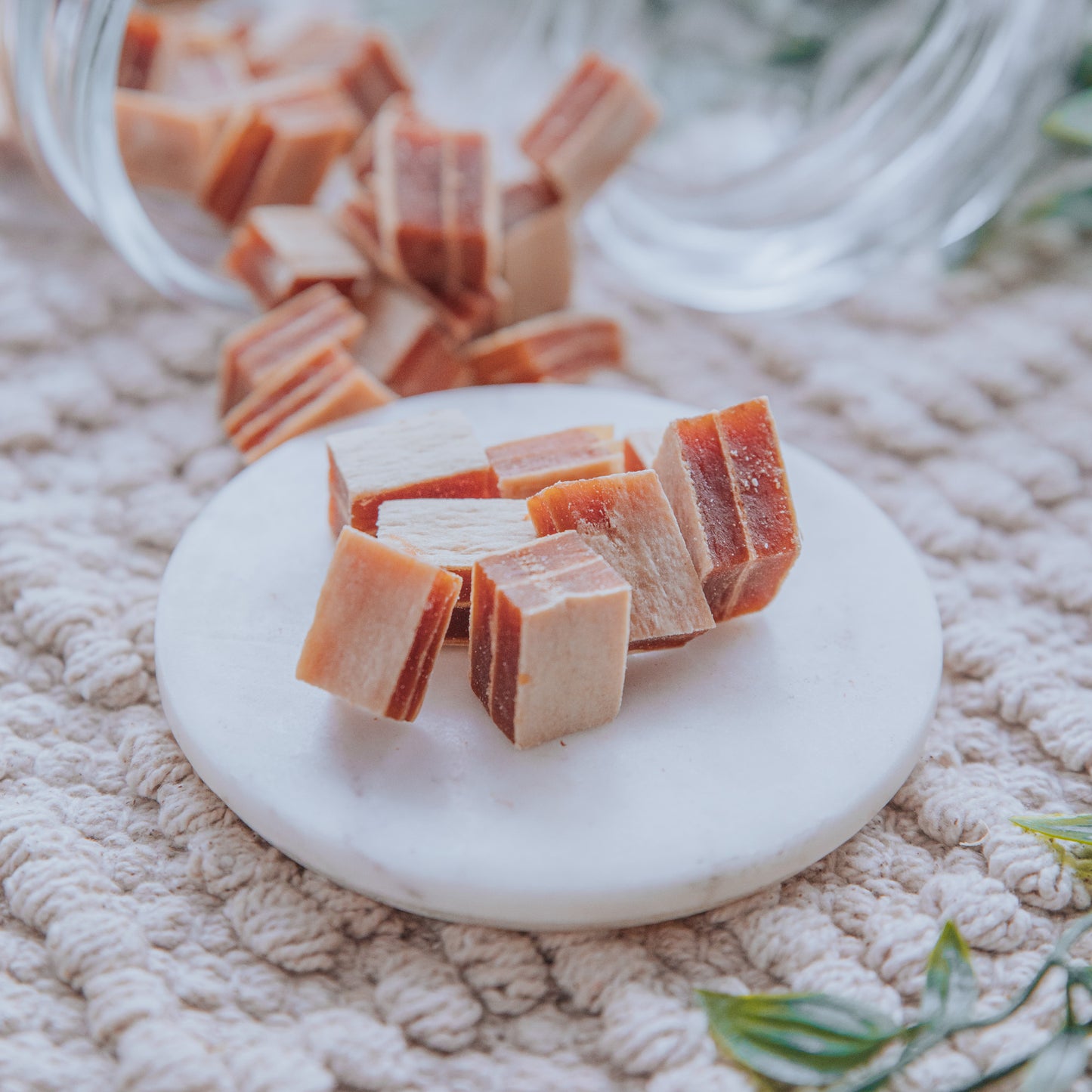 Salmon, Cod & Chicken Sandwich Bites (100g)