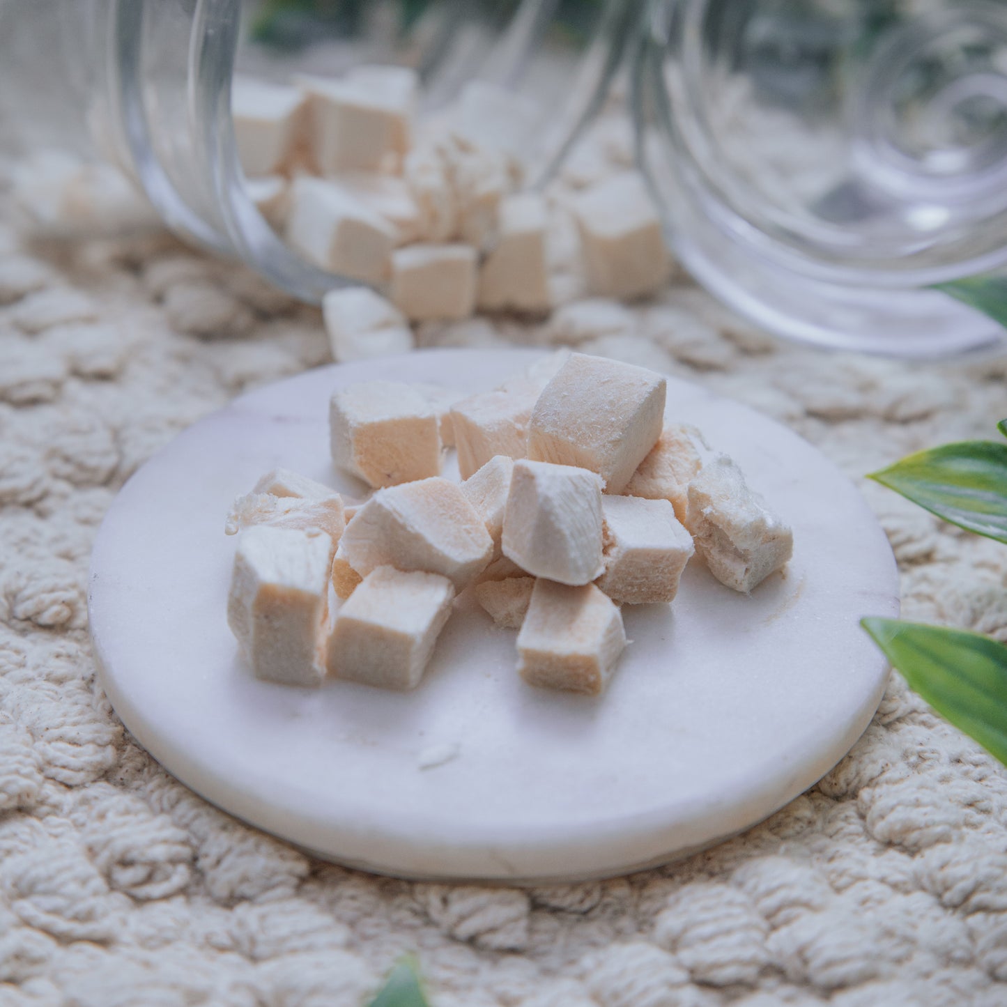 Freeze-Dried Pieces | Various Proteins (50g)