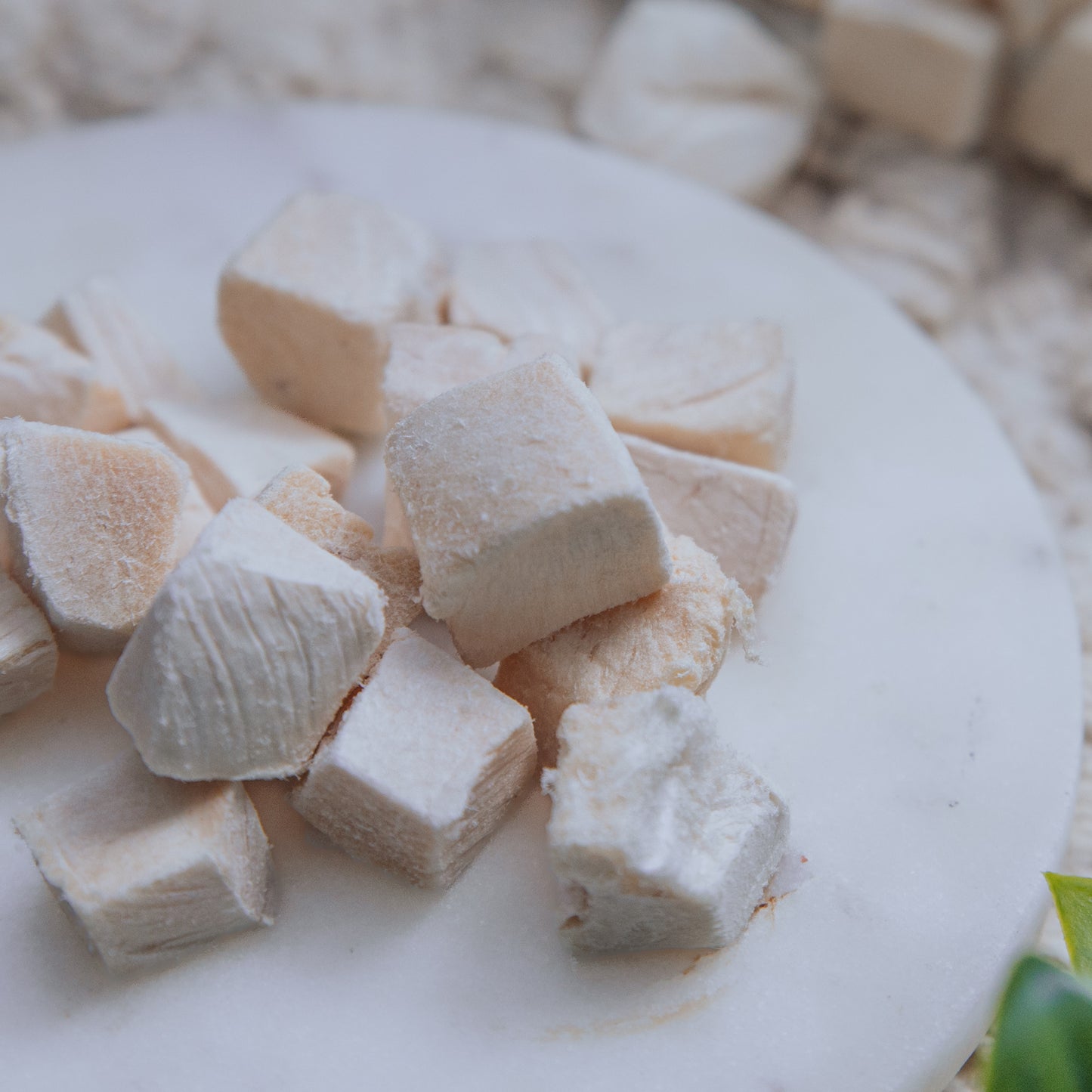 Freeze-Dried Pieces | Various Proteins (50g)