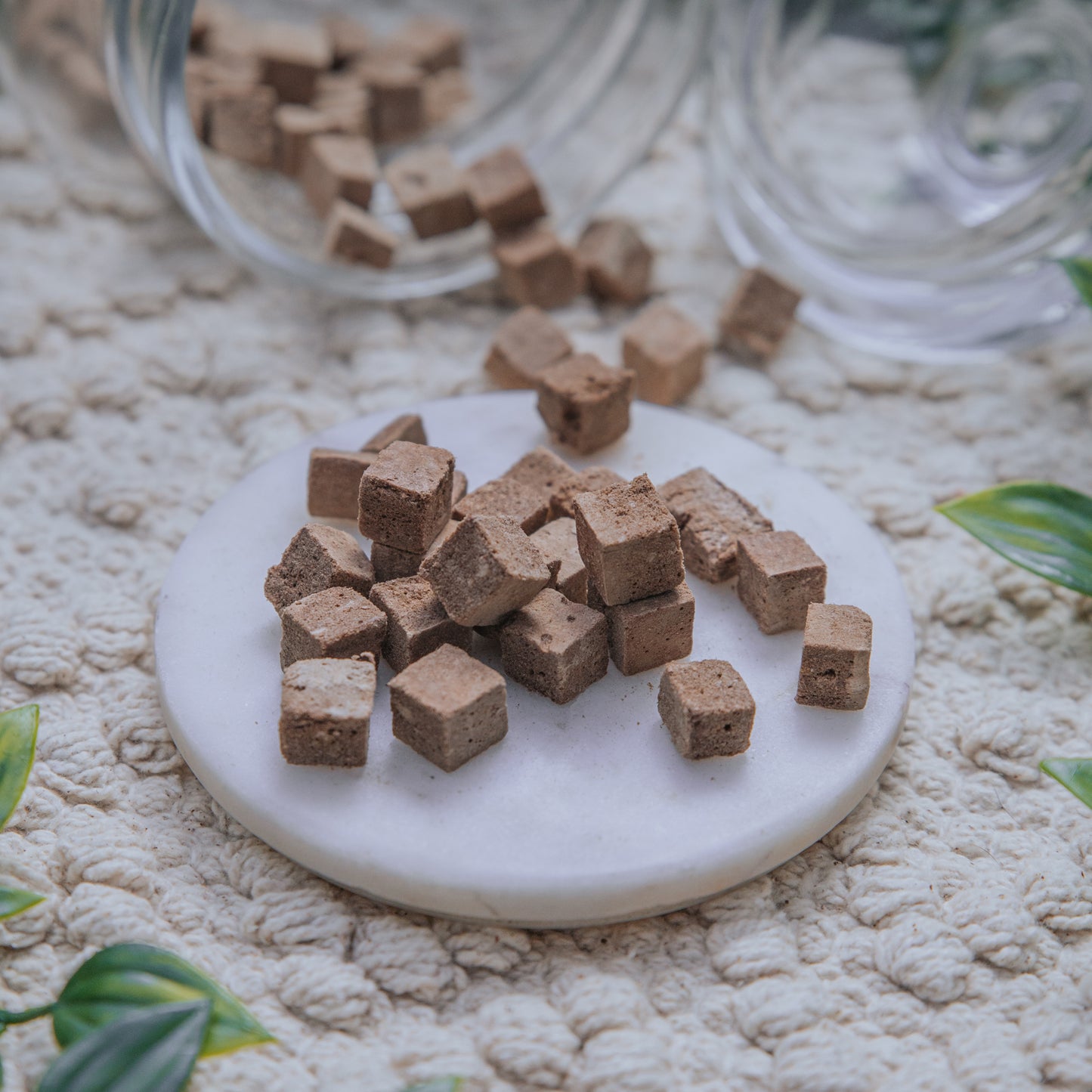 Freeze-Dried Pieces | Various Proteins (50g)