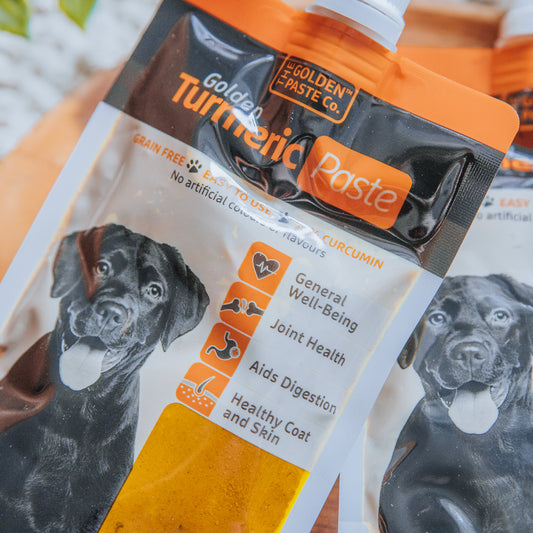 Turmeric Golden Paste (100g)