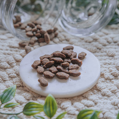 Salmon & Trout Nibbles (100g)