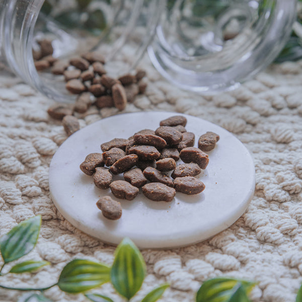 Salmon & Trout Nibbles (100g)