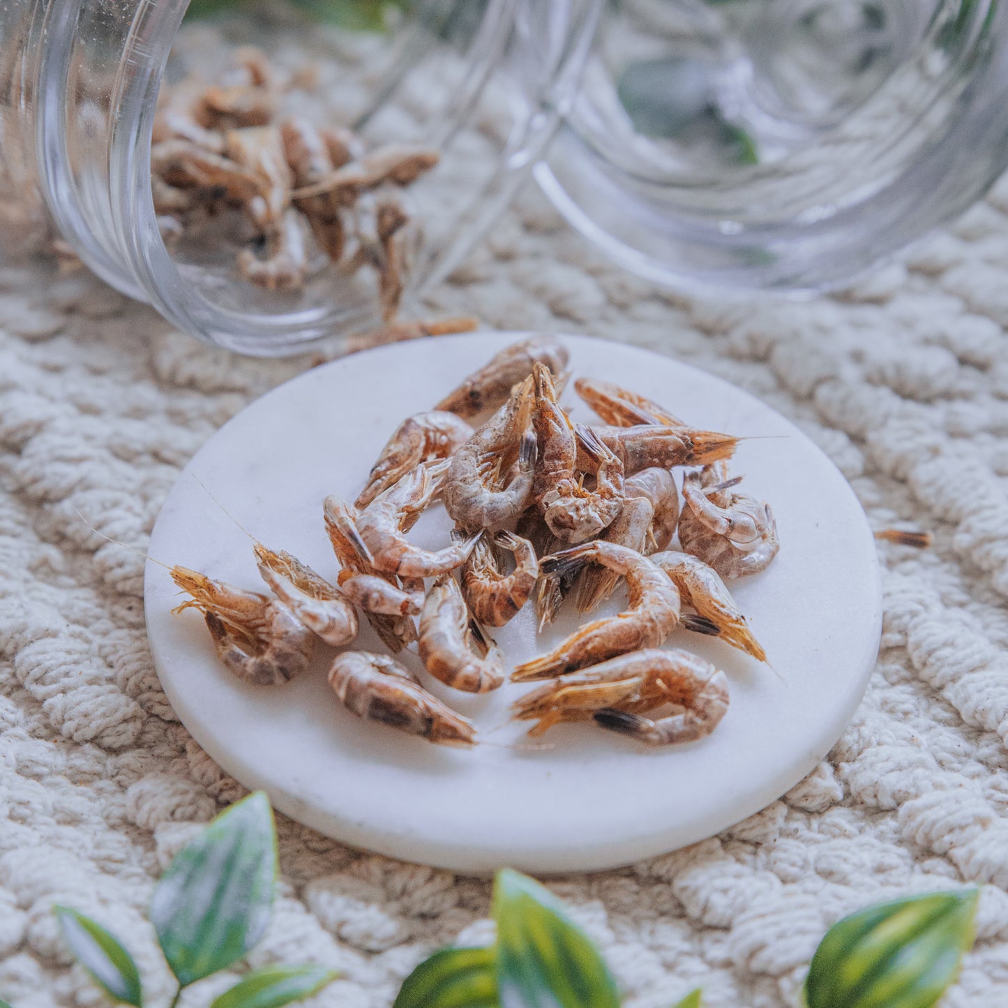 Dried Atlantic Shrimp (50g)