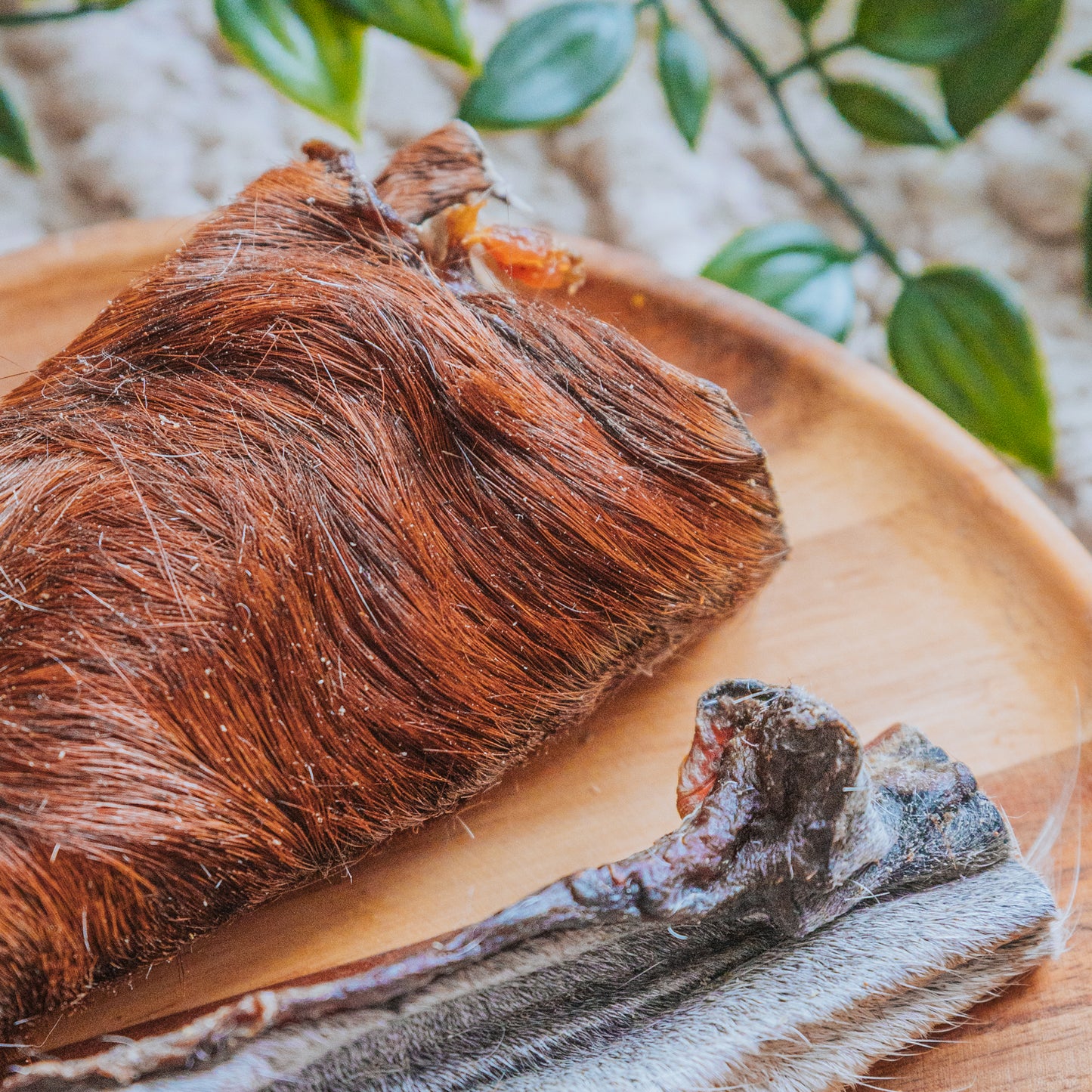 Horse Skin | With Hair