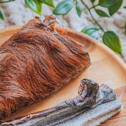 Horse Skin | With Hair