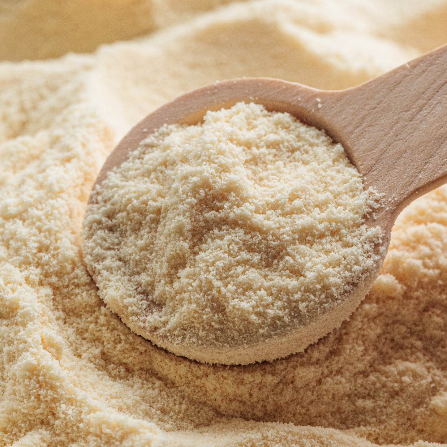 Bone Broth Powder | Various Options (100g)