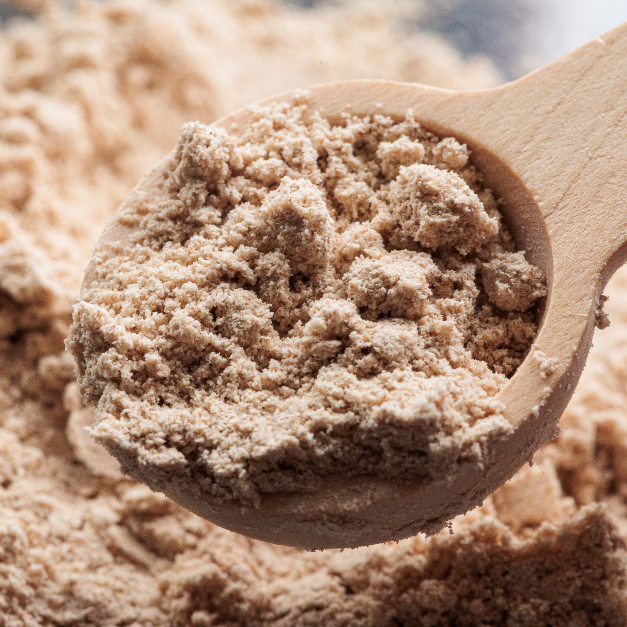 Marshmallow Root Powder (50g) – Moochin' Pooch