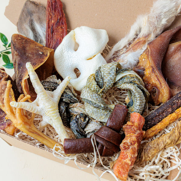 'A Bit Of Everything' | Pooch Pack