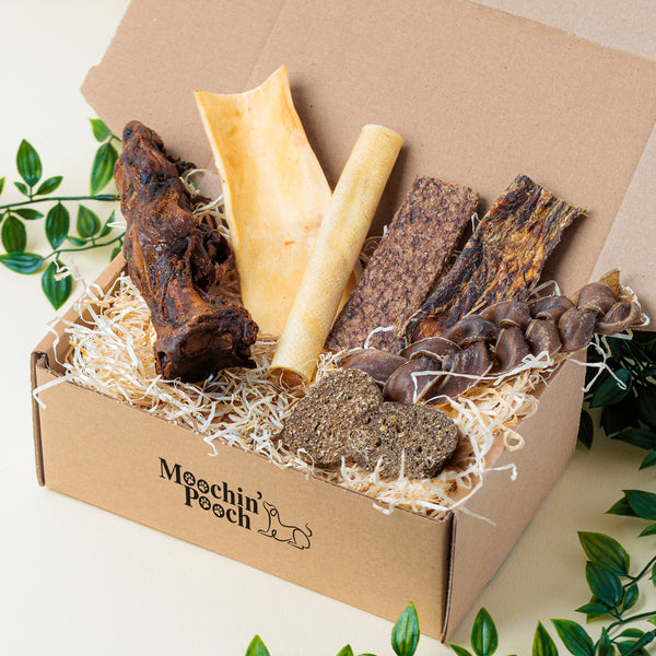 A Taste Of The Wild | Pooch Pack