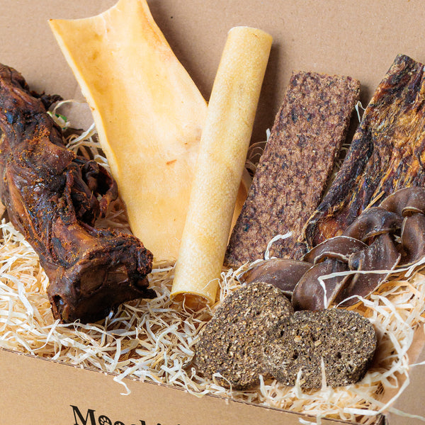 A Taste Of The Wild | Pooch Pack