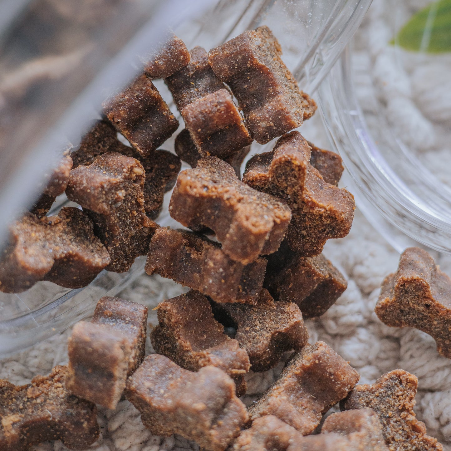 Buffalo Bones (25g | 100g)