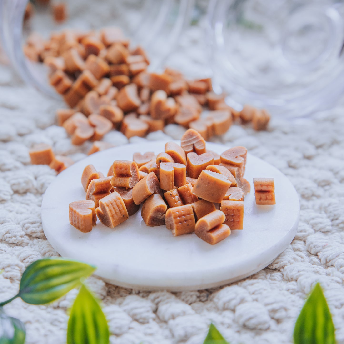 Chicken Training Hearts (25g | 100g)
