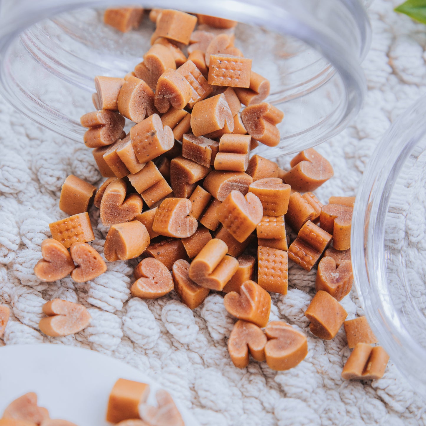 Chicken Training Hearts (25g | 100g)