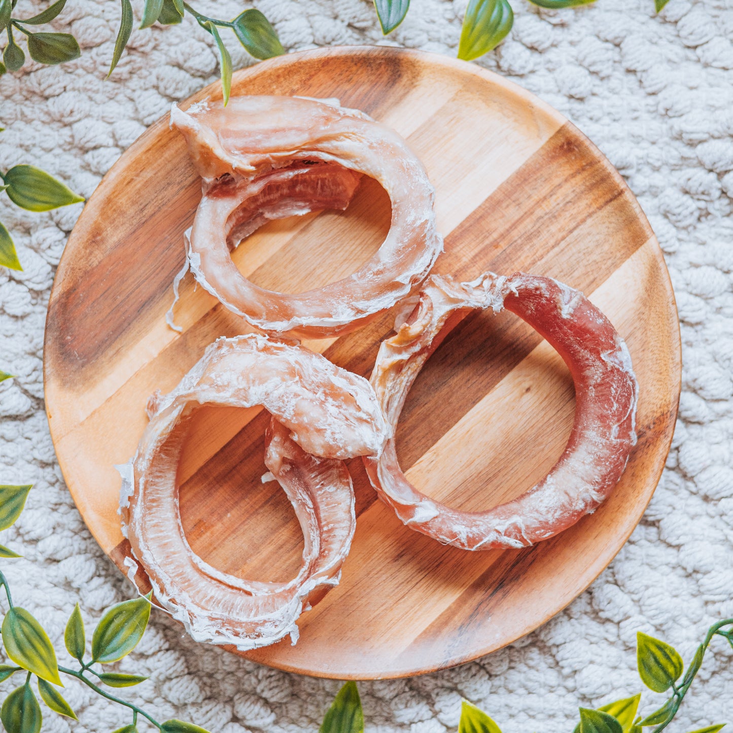 Bull Pizzle Ring