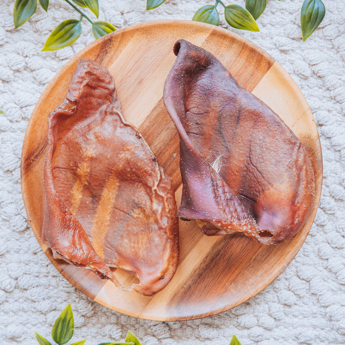 Pig Ear | Plain | Large