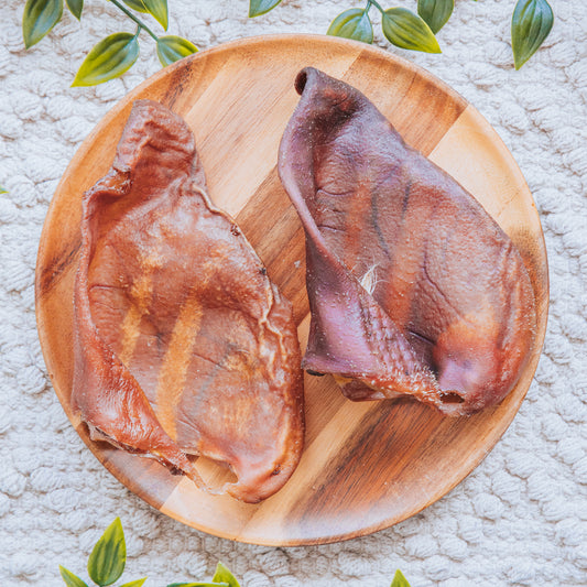 Pig Ear | Plain | Large