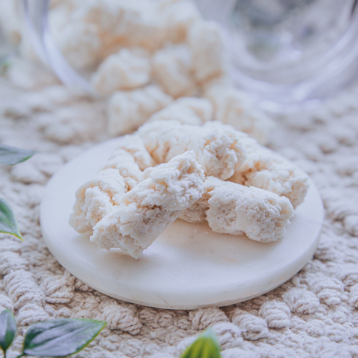 Organic Coconut Sticks (100g)