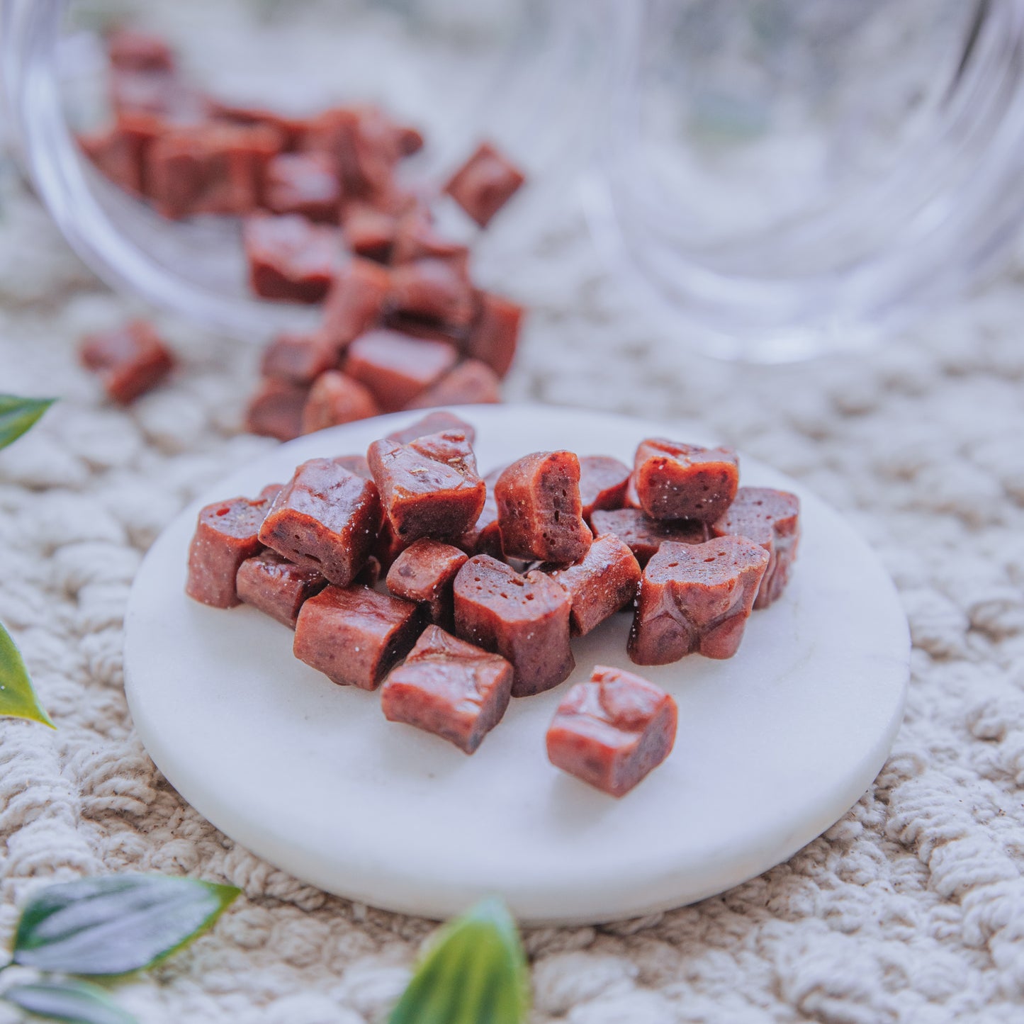 Smoked Yak & Blueberry Bites | Limited Edition (25g | 100g)