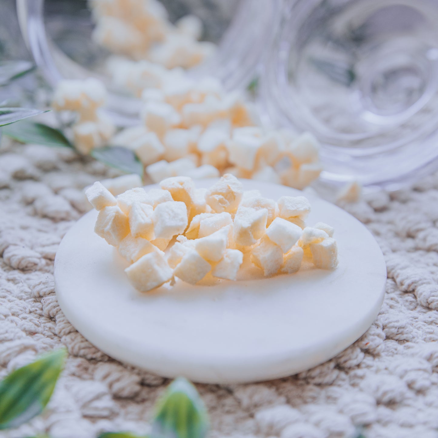 Freeze-Dried Apple Pieces (50g)