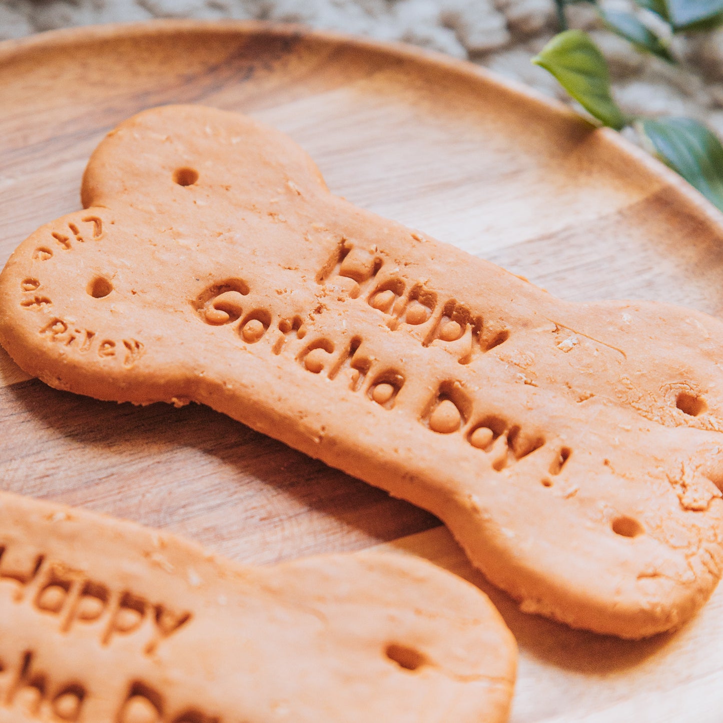 Happy Gotcha Day Biscuit | Life Of Riley Bakery