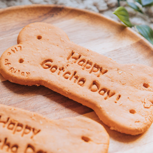 Happy Gotcha Day Biscuit | Life Of Riley Bakery