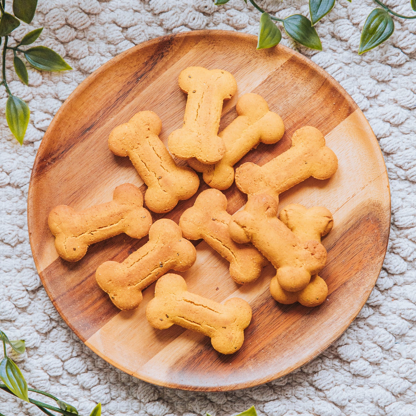 Hip & Joint Biscuits | Life Of Riley Bakery (100g)