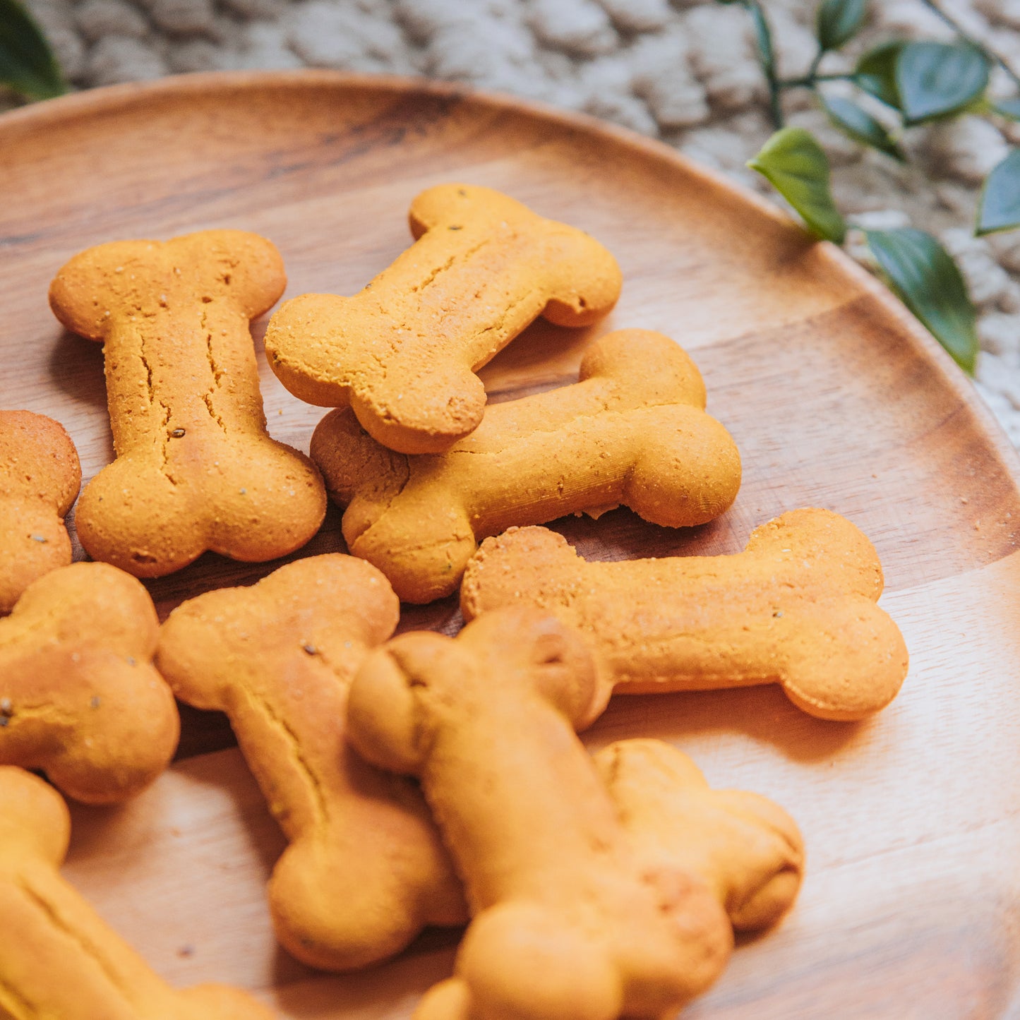 Hip & Joint Biscuits | Life Of Riley Bakery (100g)