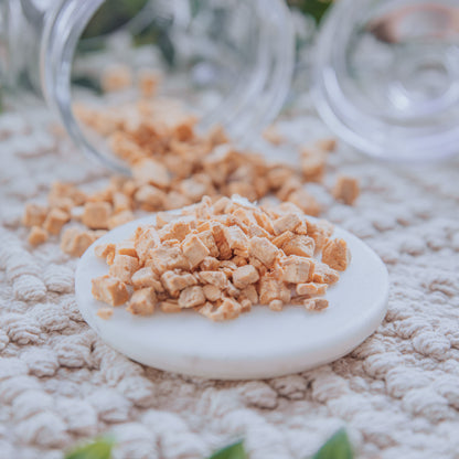 Freeze-Dried Salmon Fillet Pieces (50g)