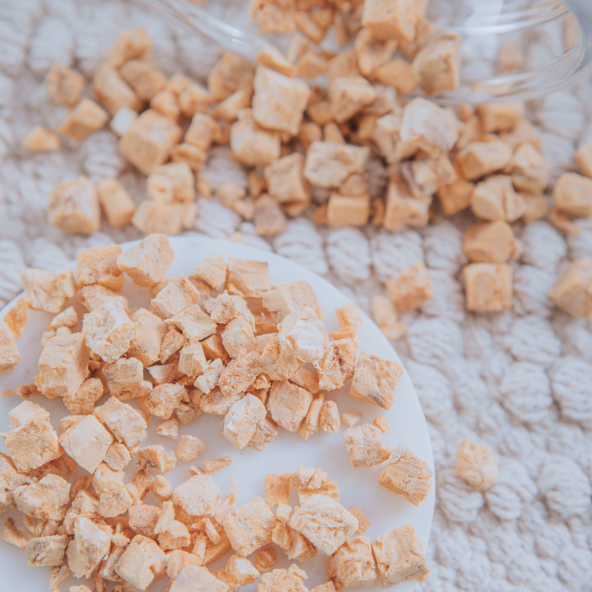 Freeze-Dried Salmon Fillet Pieces (50g)