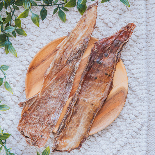 Ostrich Collagen Flattie | Large