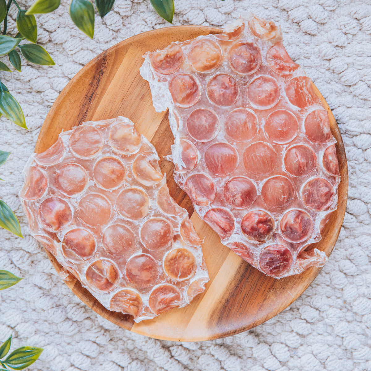 Beef Bladder Disc
