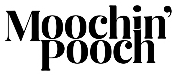Moochin' Pooch